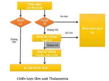 Chiến lược tầm soát Thalassemia