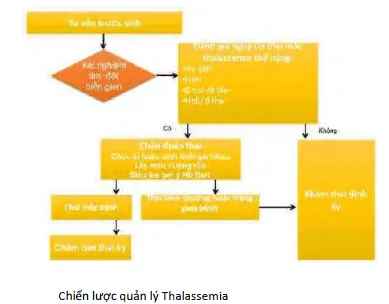 Chiến lược tầm soát Thalassemia