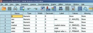 Nhập tệp Excel vào SPSS